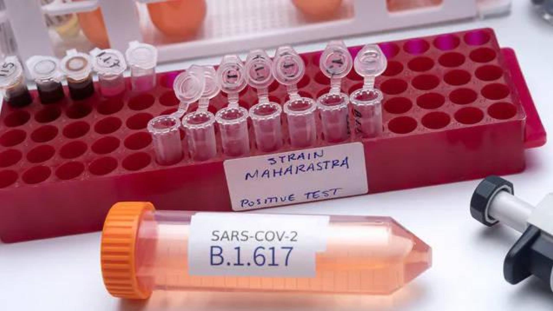 La variante india del SARS-CoV-2 está catalogada, de momento, como variante en investigación.