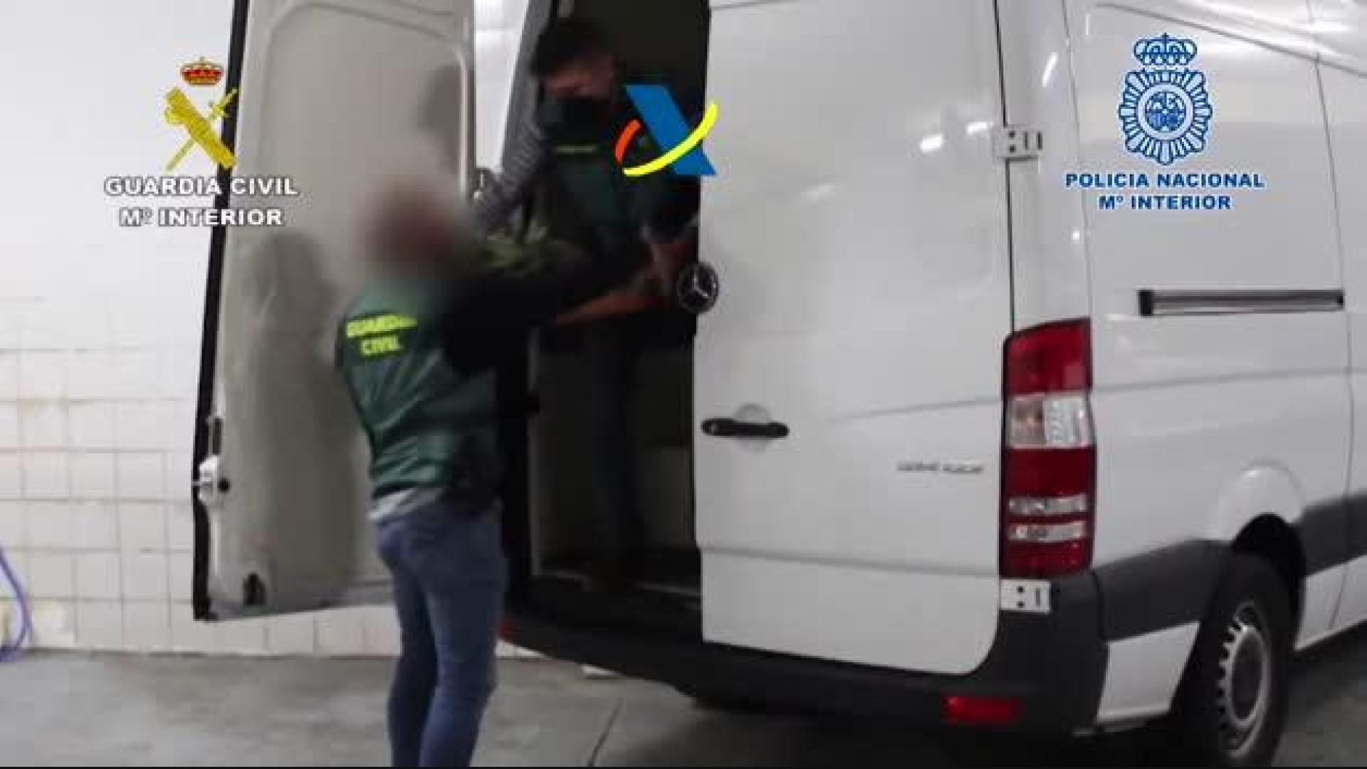 Cocaína oculta en el interior de piñas