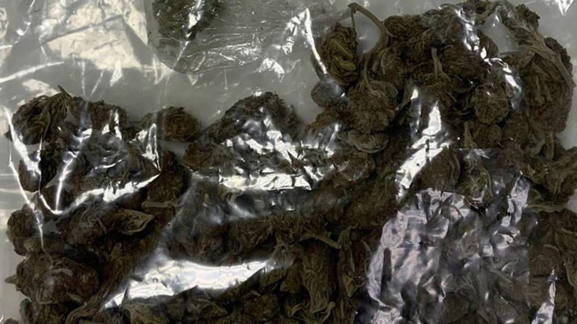 Se queda parado ante un semáforo en verde en Pamplona y da positivo en todas las drogas del test