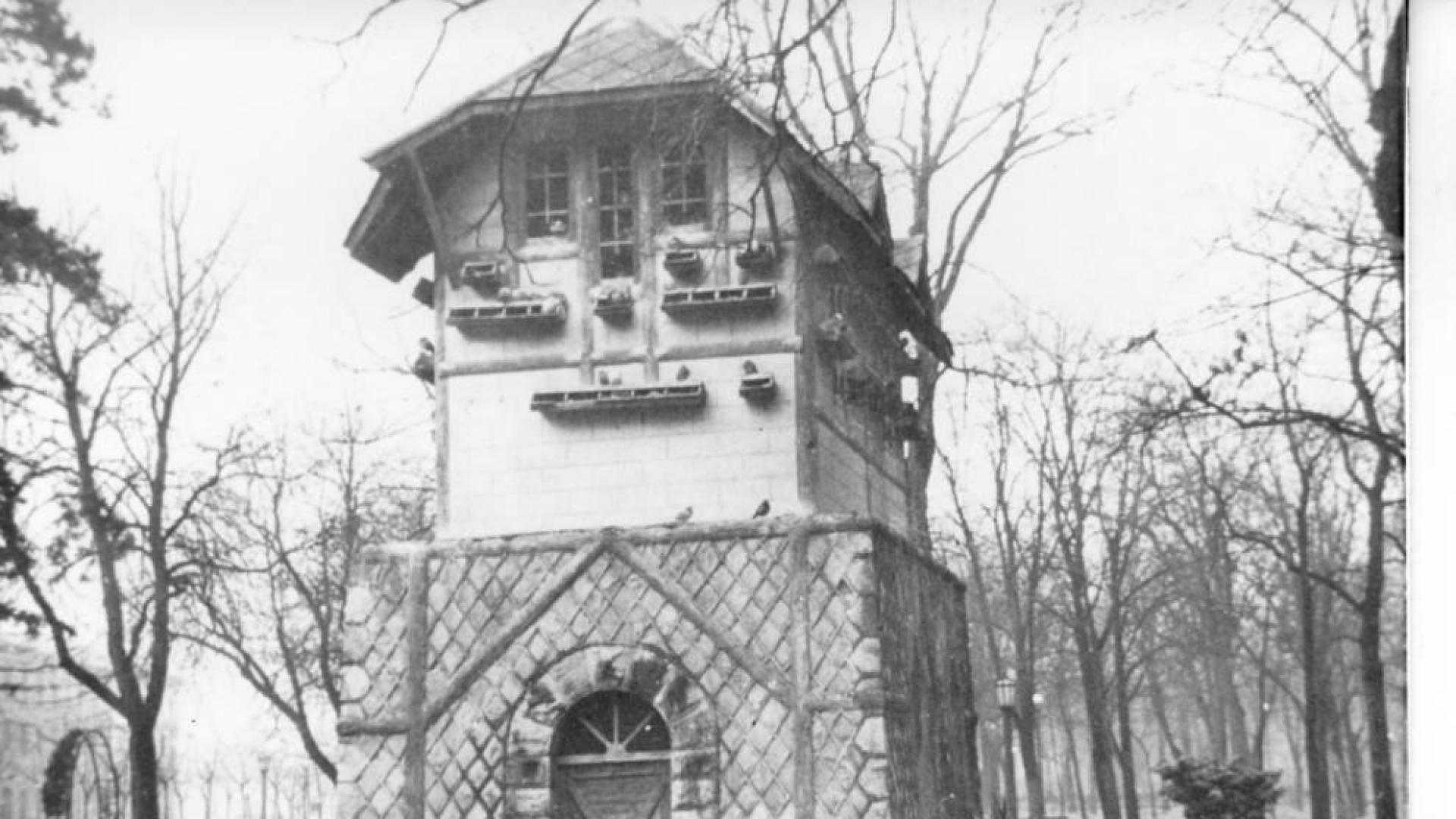 Un palomar para evitar las ratas