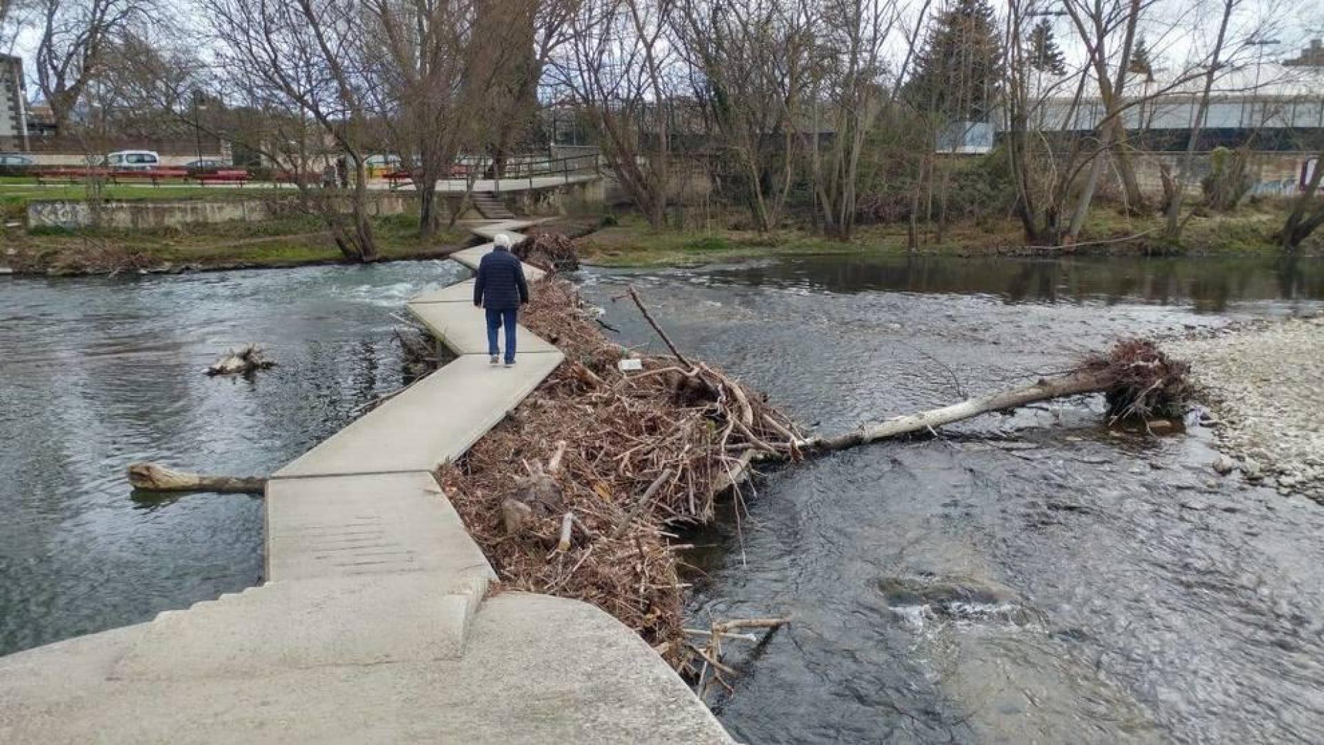 La imagen fue tomada este mismo martes en las pasarelas del Club Natación.