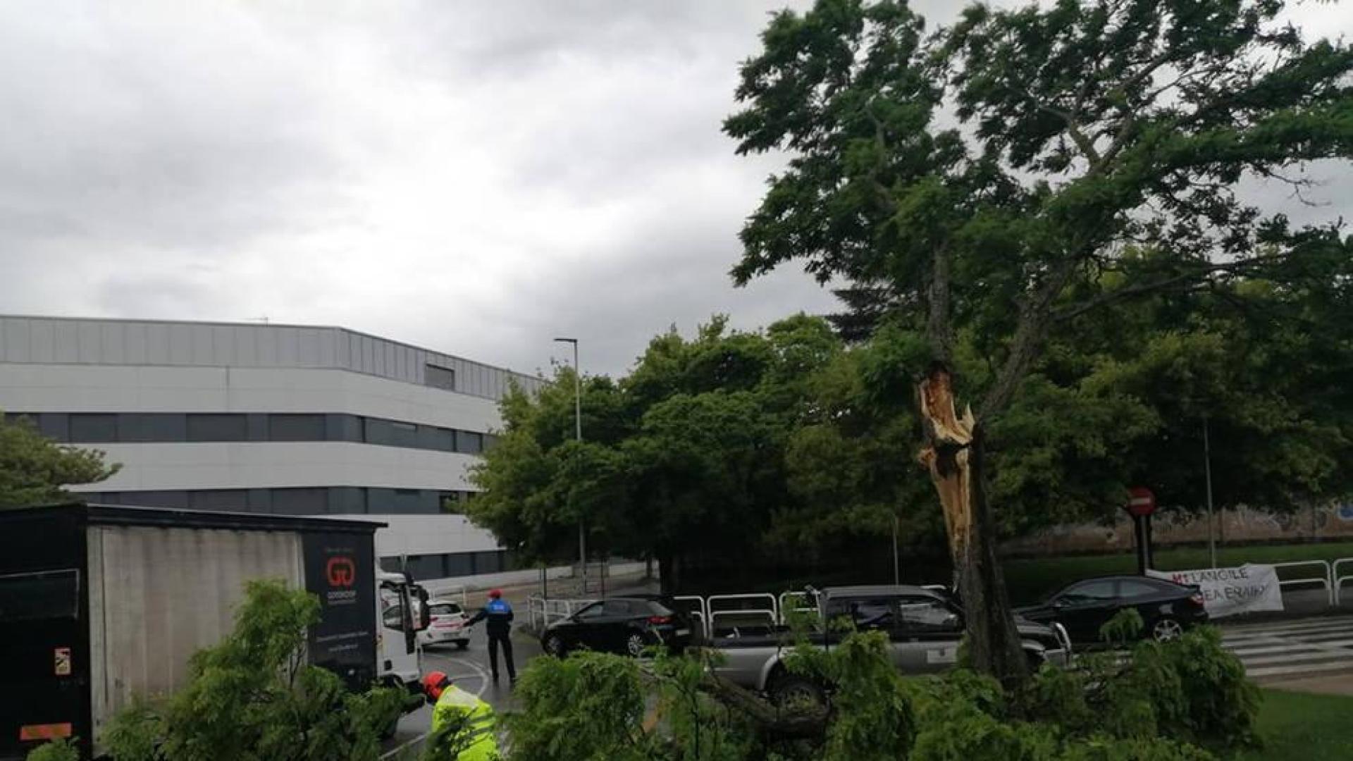 La caída de una rama corta el tráfico en Villava