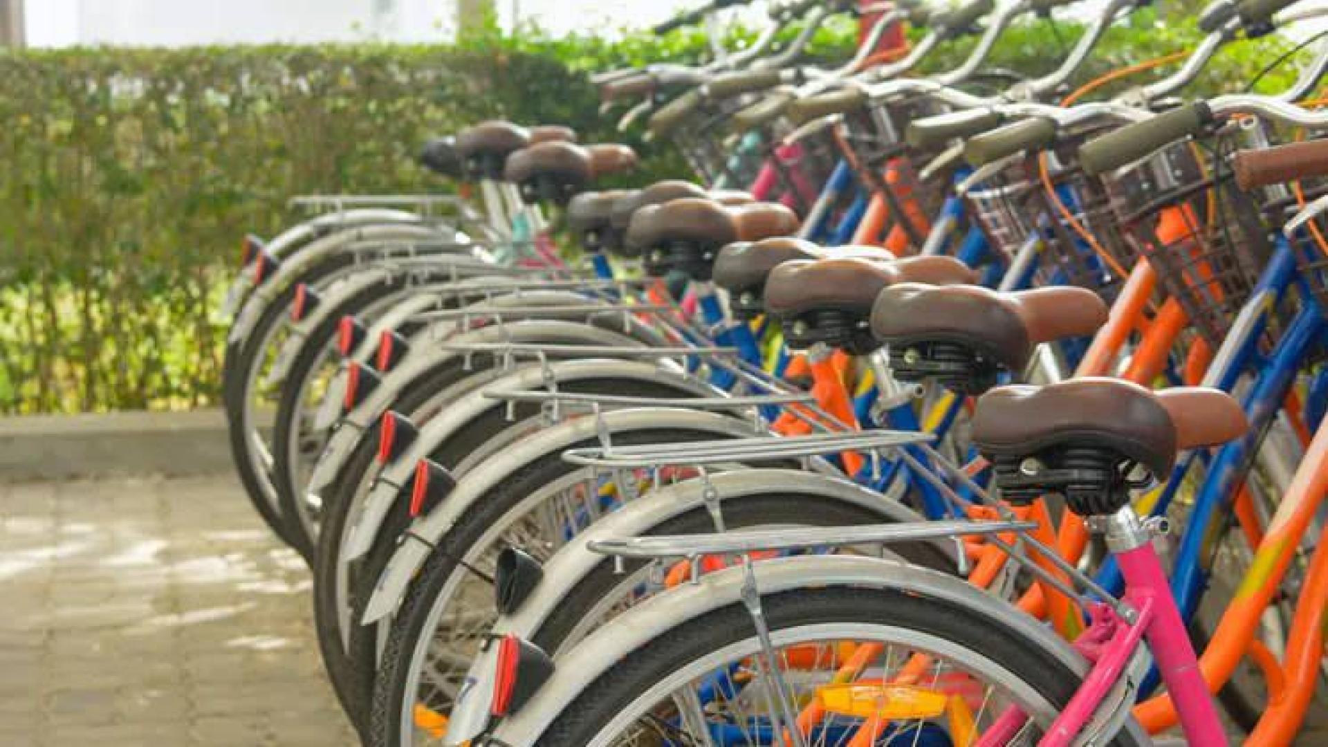 Varias bicicletas aparcadas.
