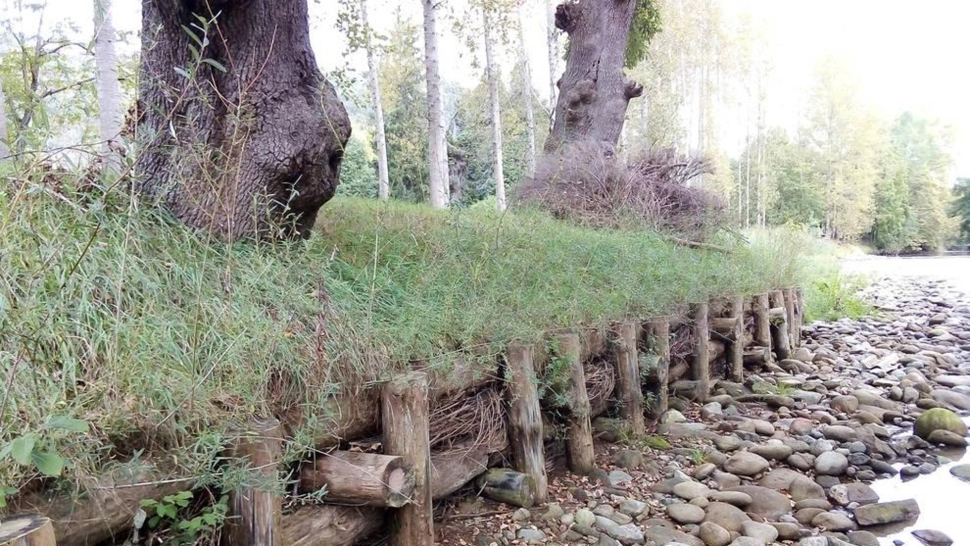 Medio Ambiente dedicará 200.000 euros a acciones de recuperación del entorno fluvial