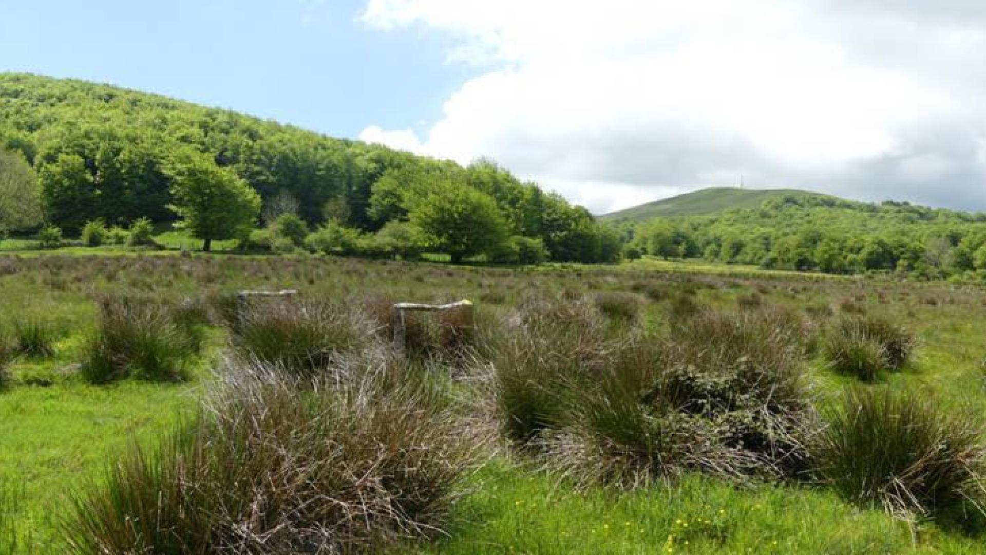 Navarra se suma este viernes al Día Europeo de la Red Natura 2000