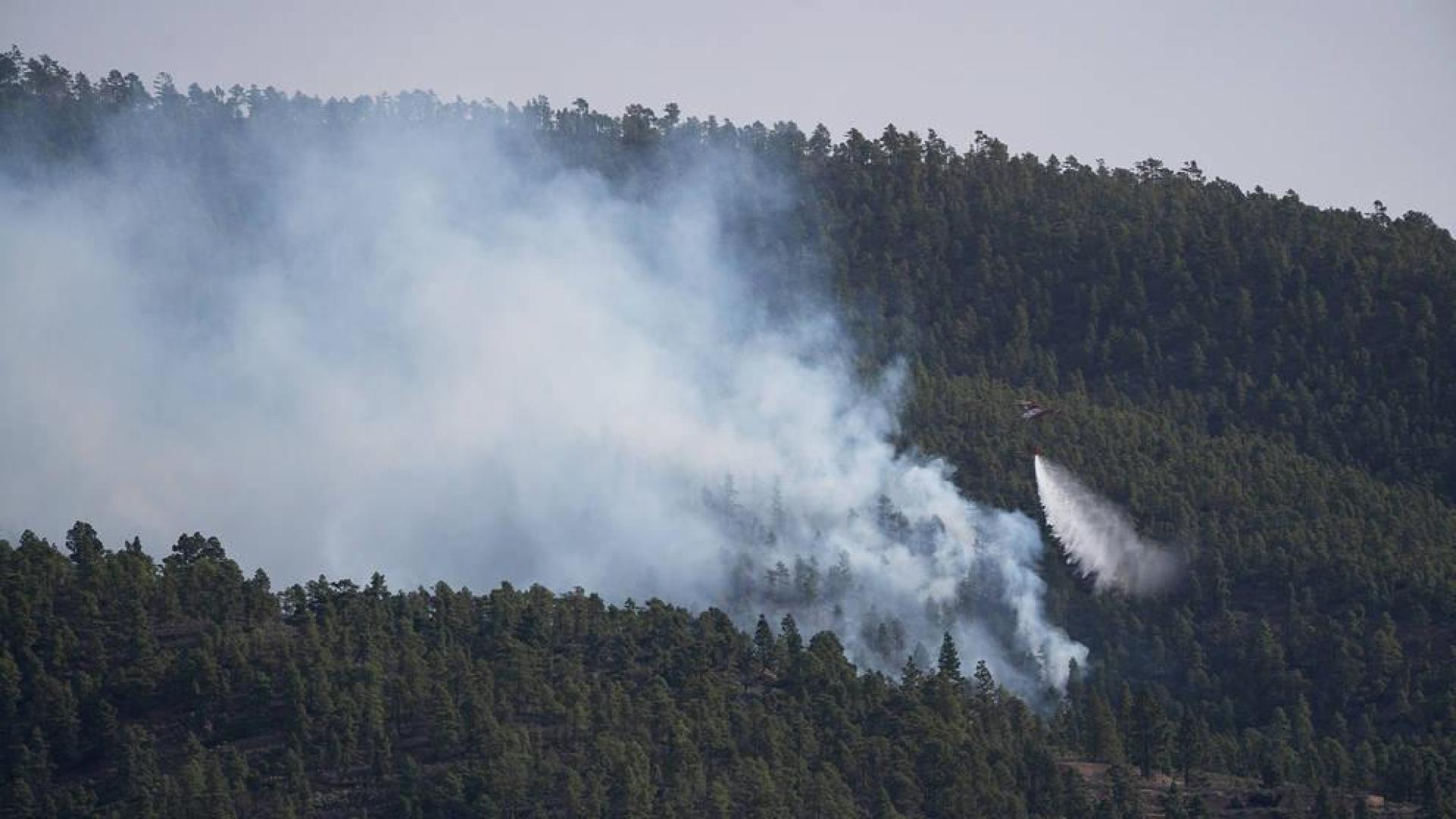 El incendio de Tenerife abarca una superficie de 3.300 hectáreas