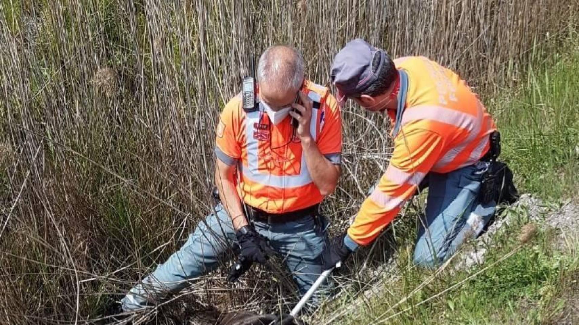 Instigada por abandonar a su perro en Pamplona, que atacó a varias personas y murió en un accidente