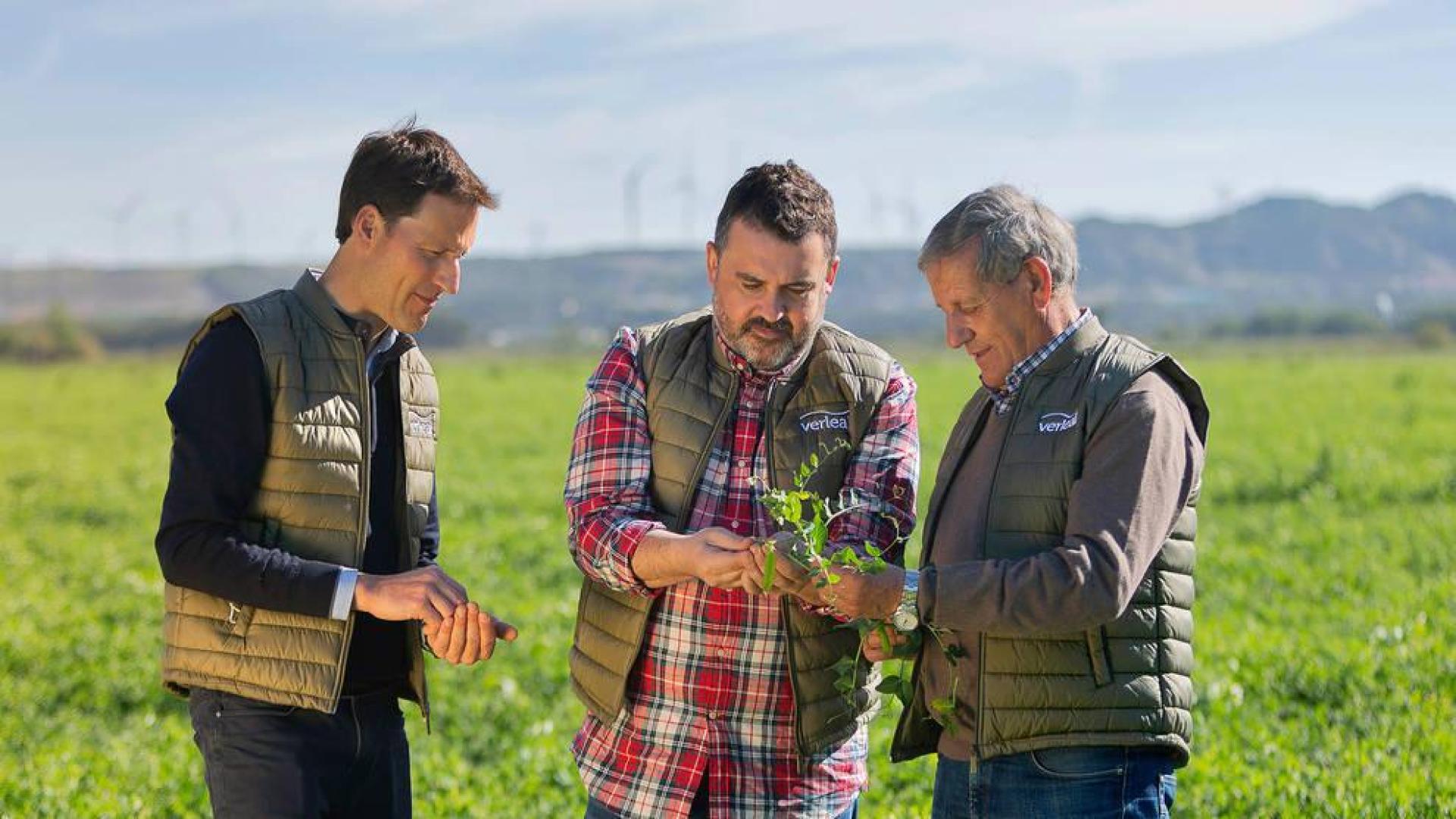 De izquierda a derecha: Alberto Torres (agricultor), el chef Ander González y el agricultor Ignacio Torres, en un campo de guisantes.