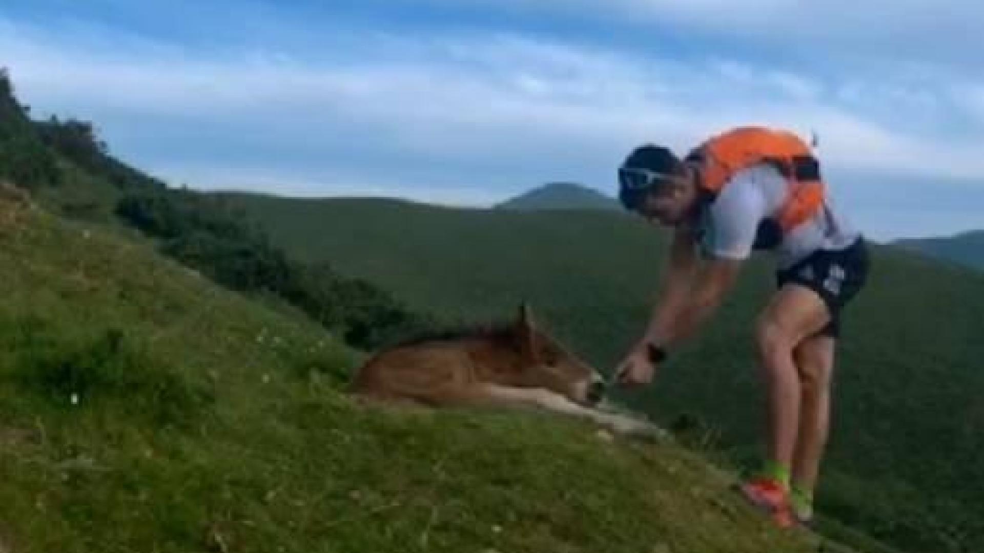 Rescata a un potro atrapado en un agujero en el monte Saioa