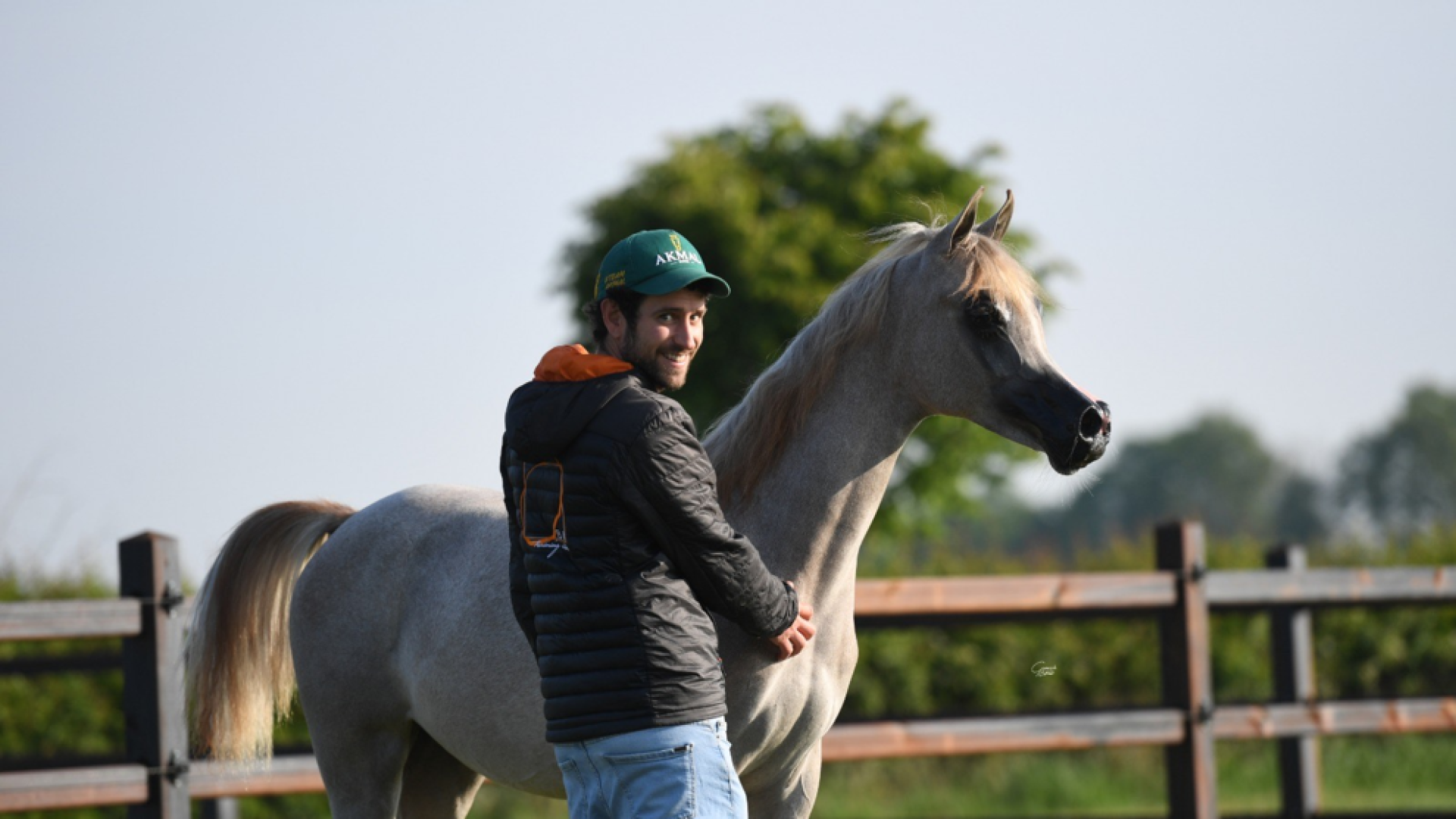 Un pamplonés, criador de caballos en una granja de Chimay (Bélgica)