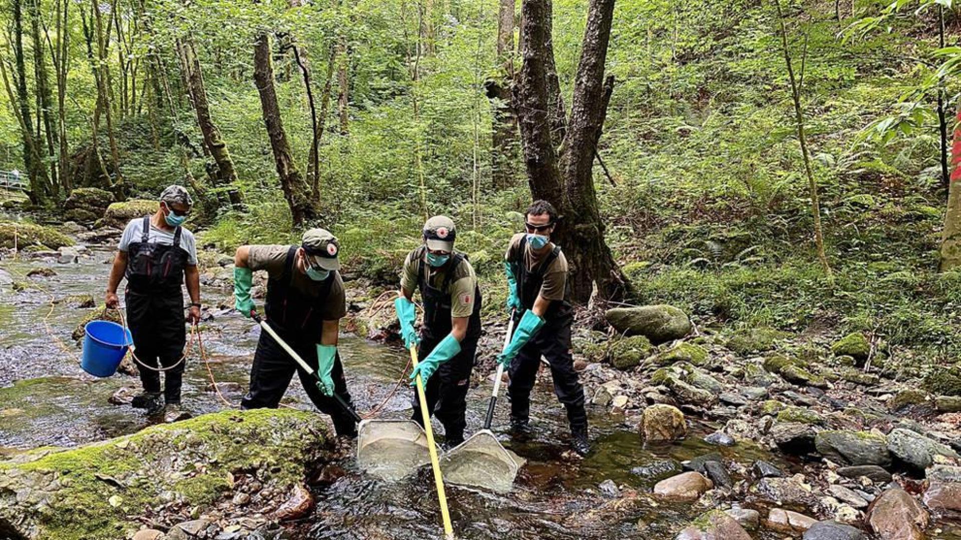 Medio Ambiente atendió 1.874 avisos de fauna herida y propuso 284 sanciones