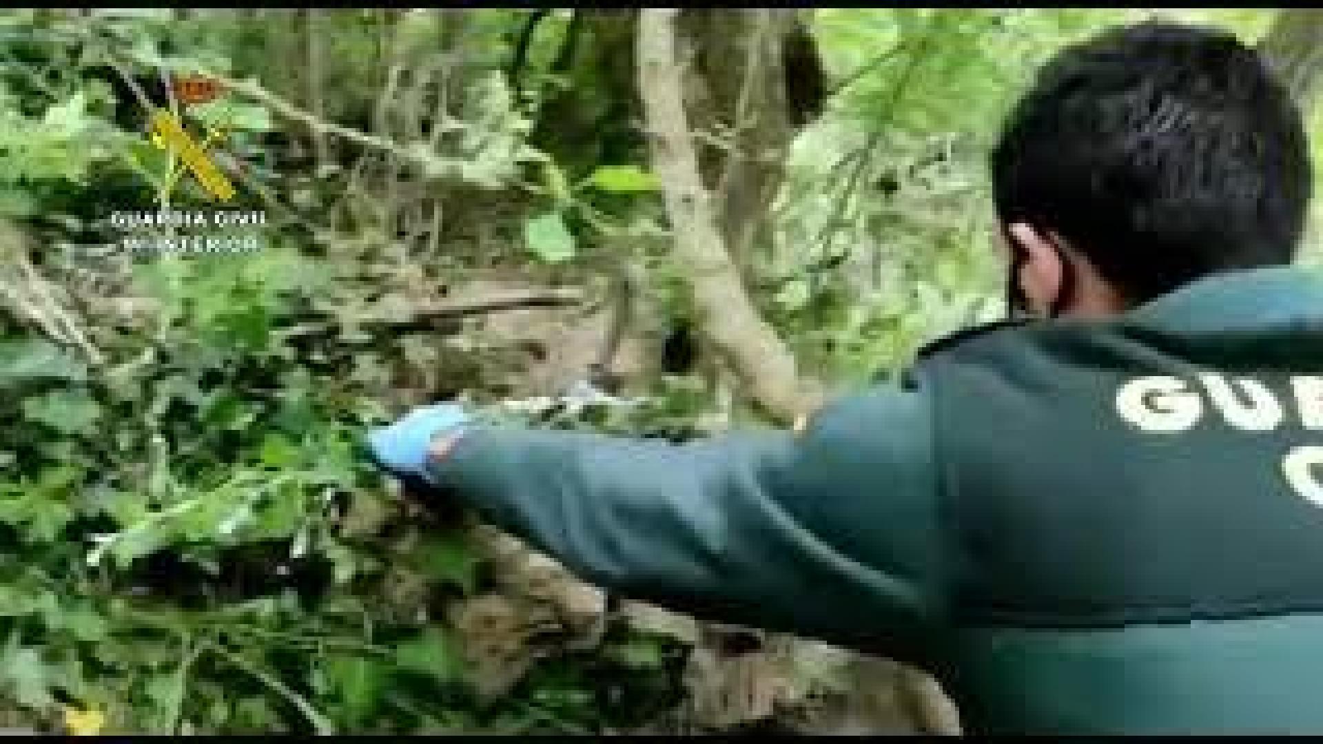 Vídeo del robo en un bar de Estella