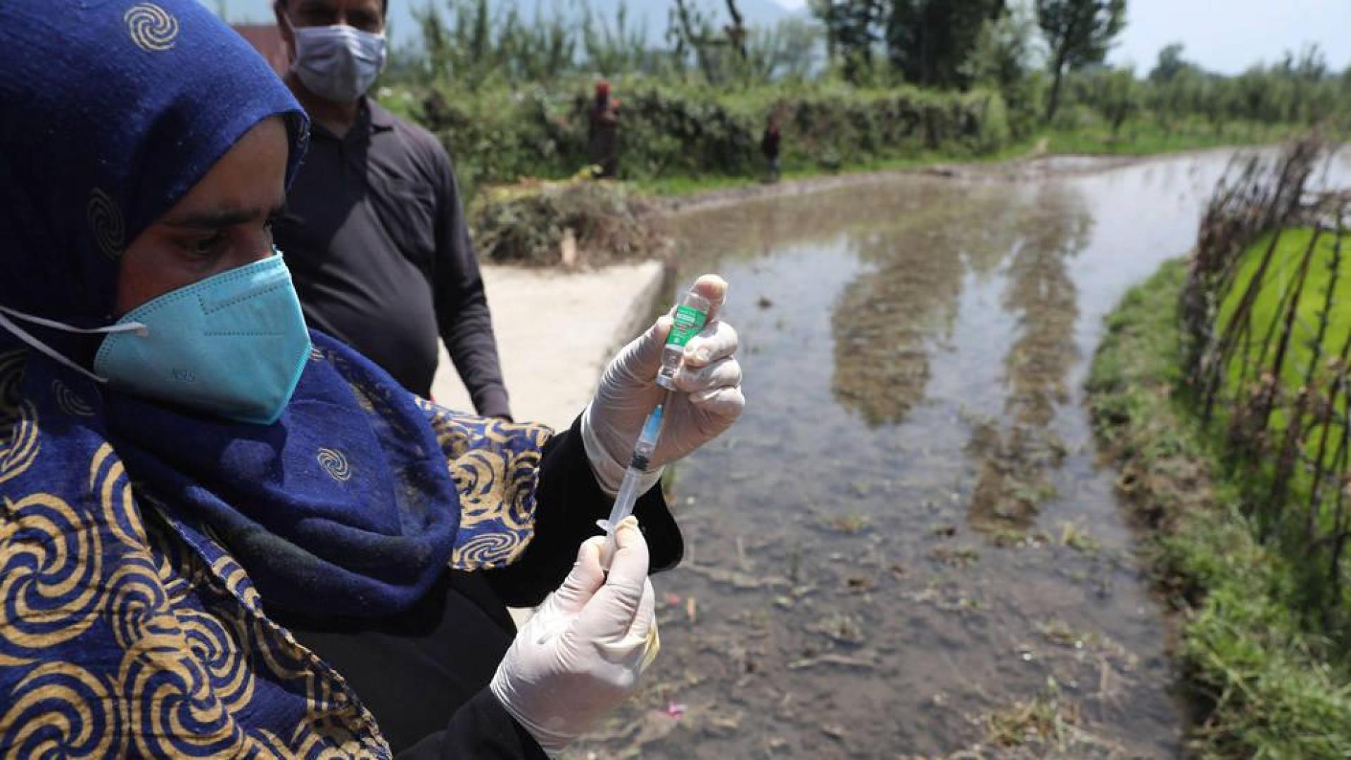 ¿Qué es el peligroso Hongo Negro y por qué alarma al mundo en la pandemia?