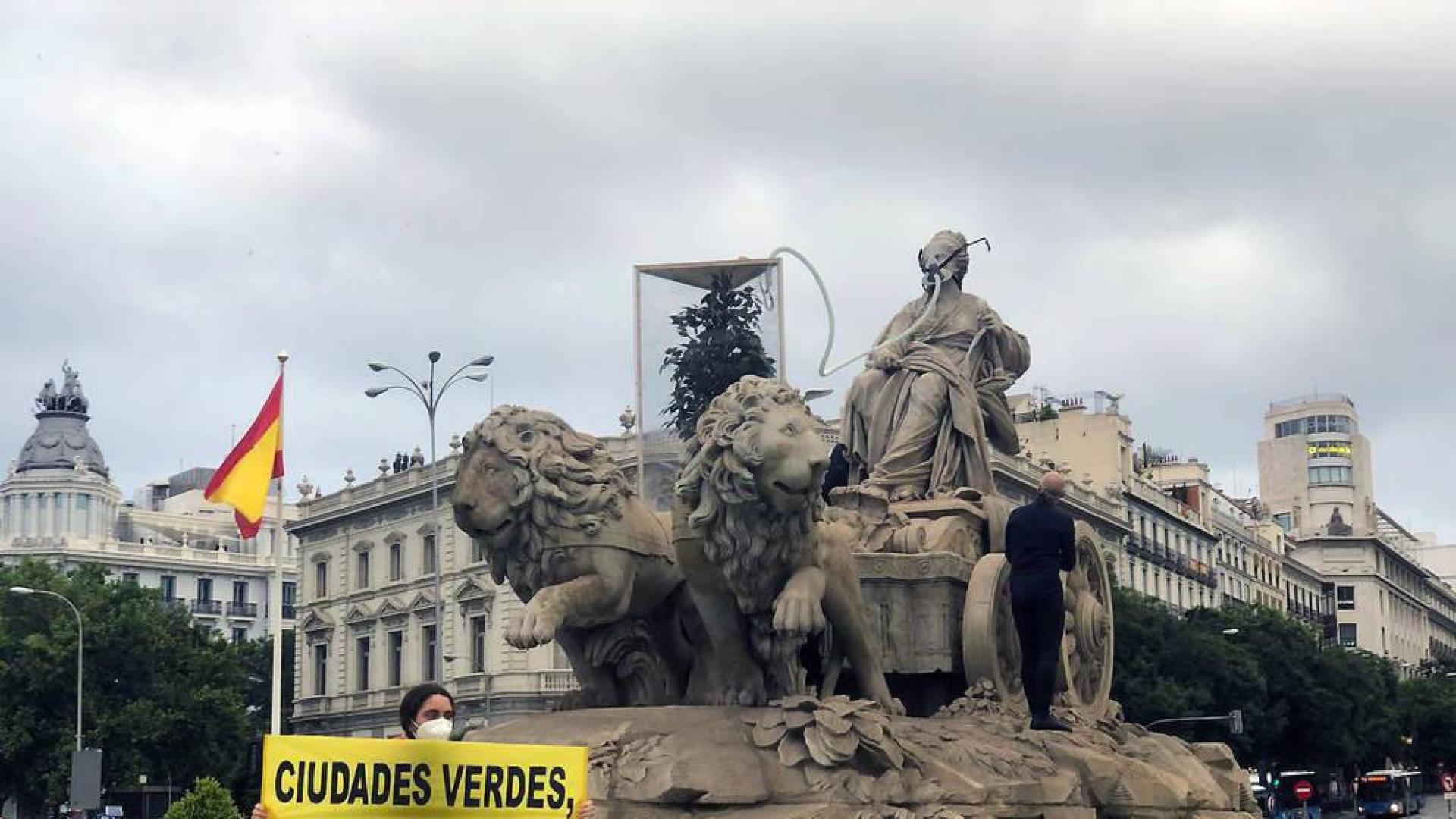 Detenidos 10 activistas de Greenpeace por subirse a la fuente de Cibeles con un árbol