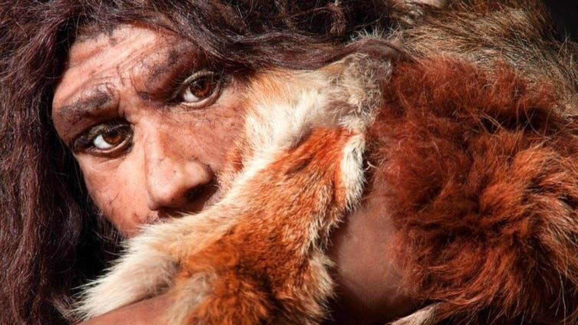 Nuestra huella genética neandertal influye en el sueño, el humor… y en cómo nos afecta la covid