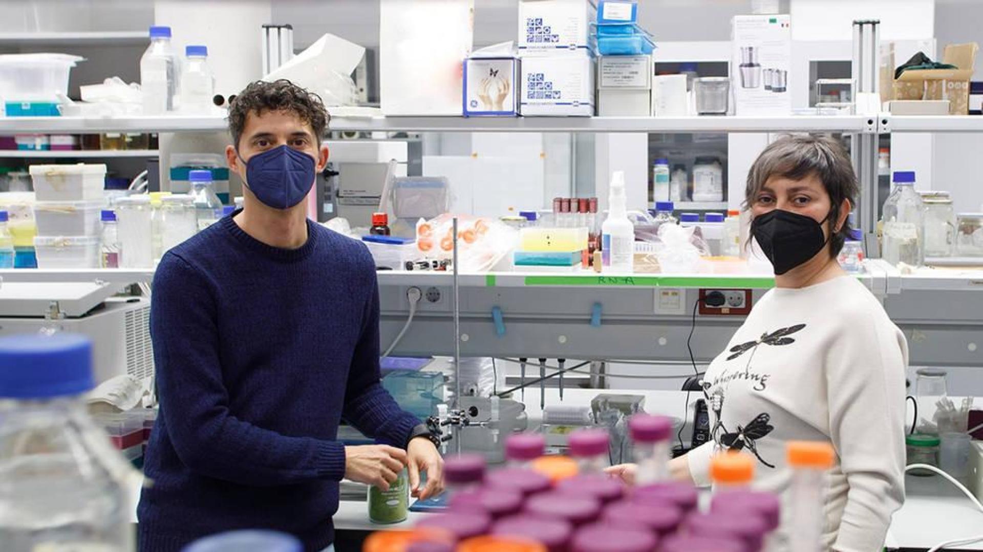 Dos investigadores de la UPNA plantean usar bacterias contra la polilla del boj