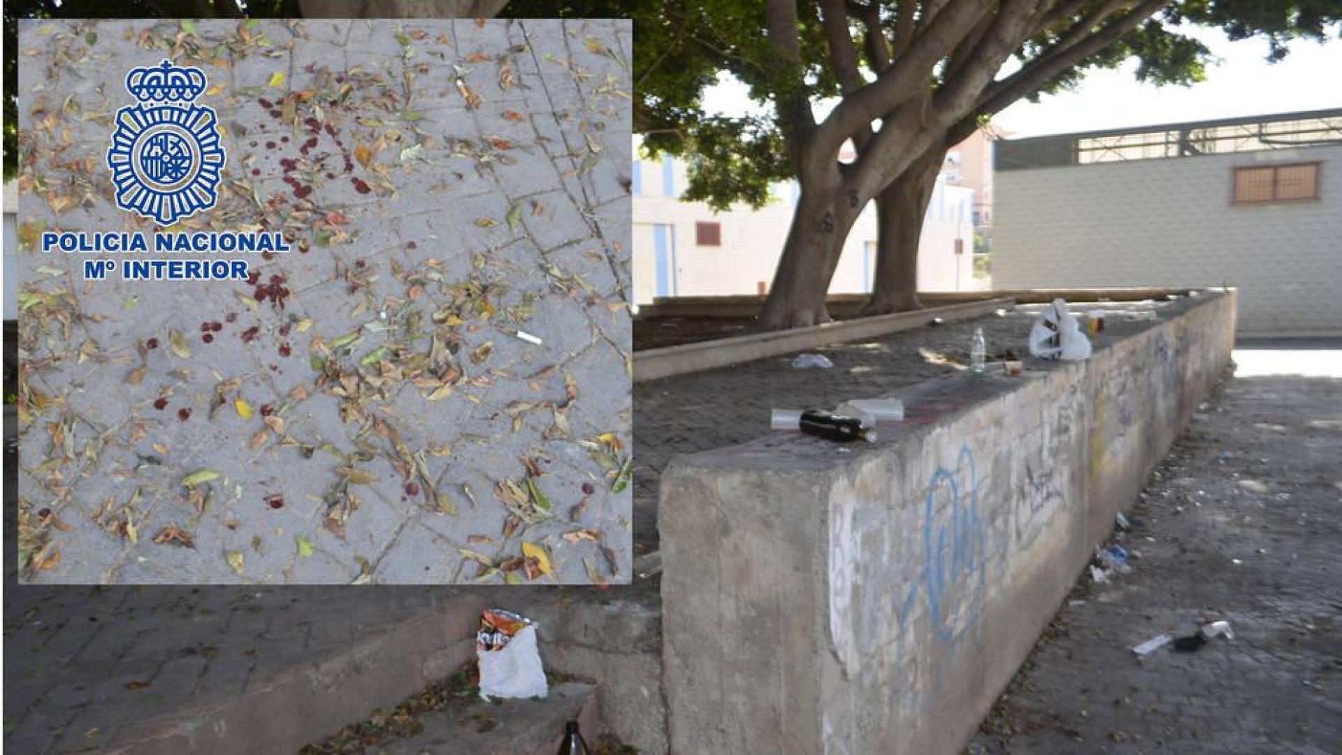 Detenidos 14 jóvenes por una riña tumultuaria durante un botellón