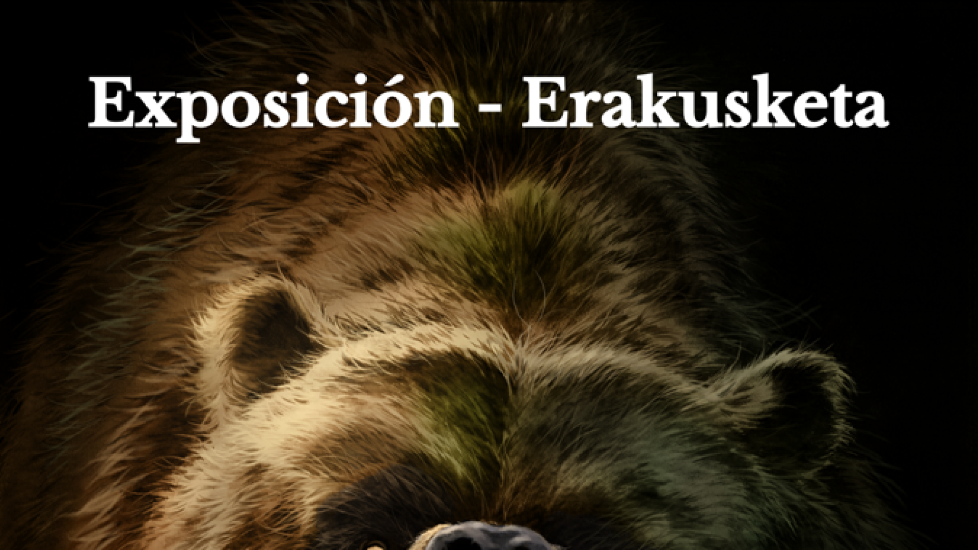 Cartel de la exposición 'Spelaeu's, dedicada a los osos de las cavernas (ursus spelaeus).