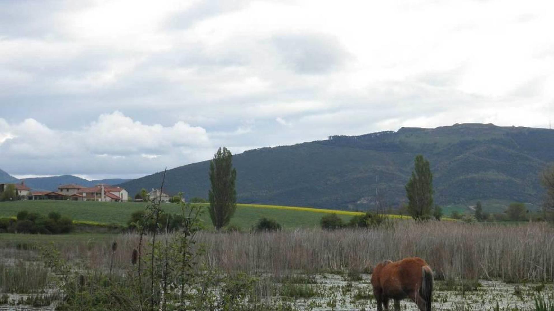 Loza, 40 hectáreas de biodiversidad