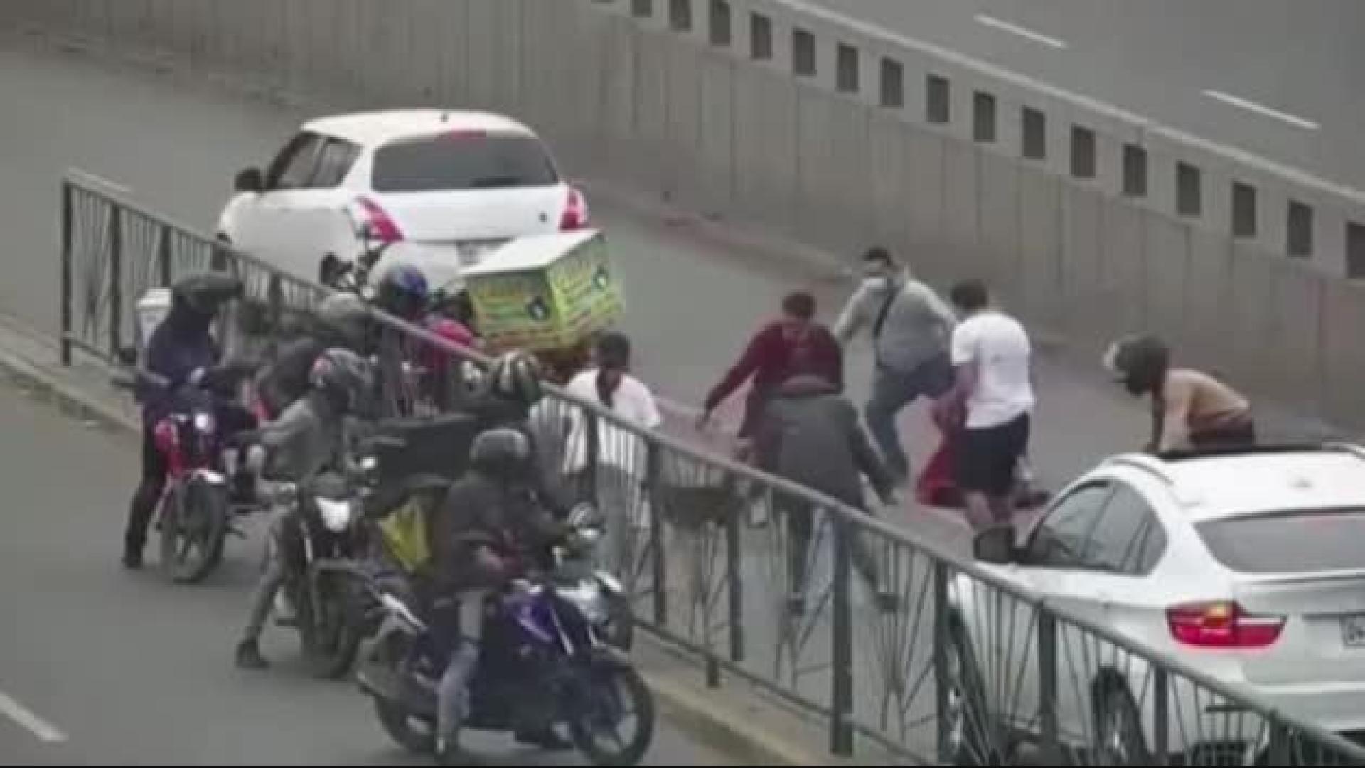 Una perra a la fuga provoca el caos en el tráfico de Lima