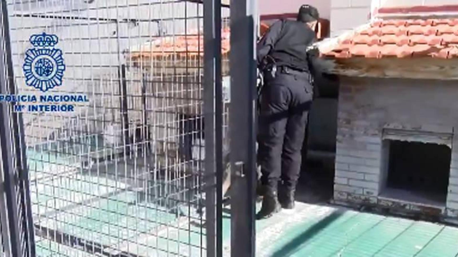 Cae una red de proxenetas y blanqueo con 30 detenidos en Castilla y León