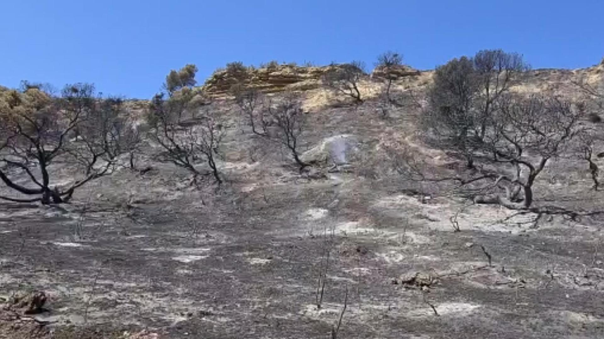 Imágenes, un día después, de cómo ha quedado la zona afectada por el incendio en las Bardenas Reales
