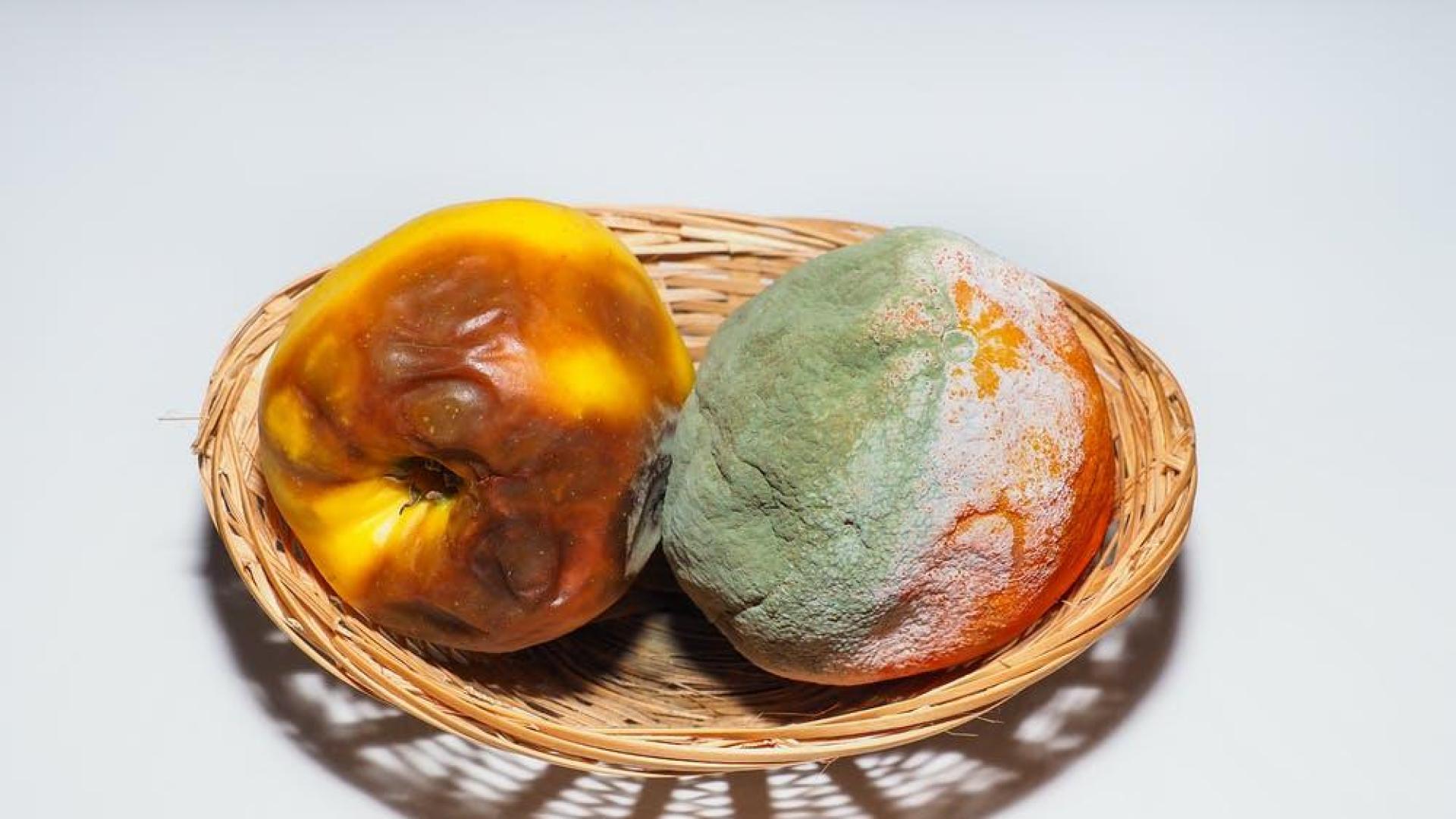 Alimentos con moho