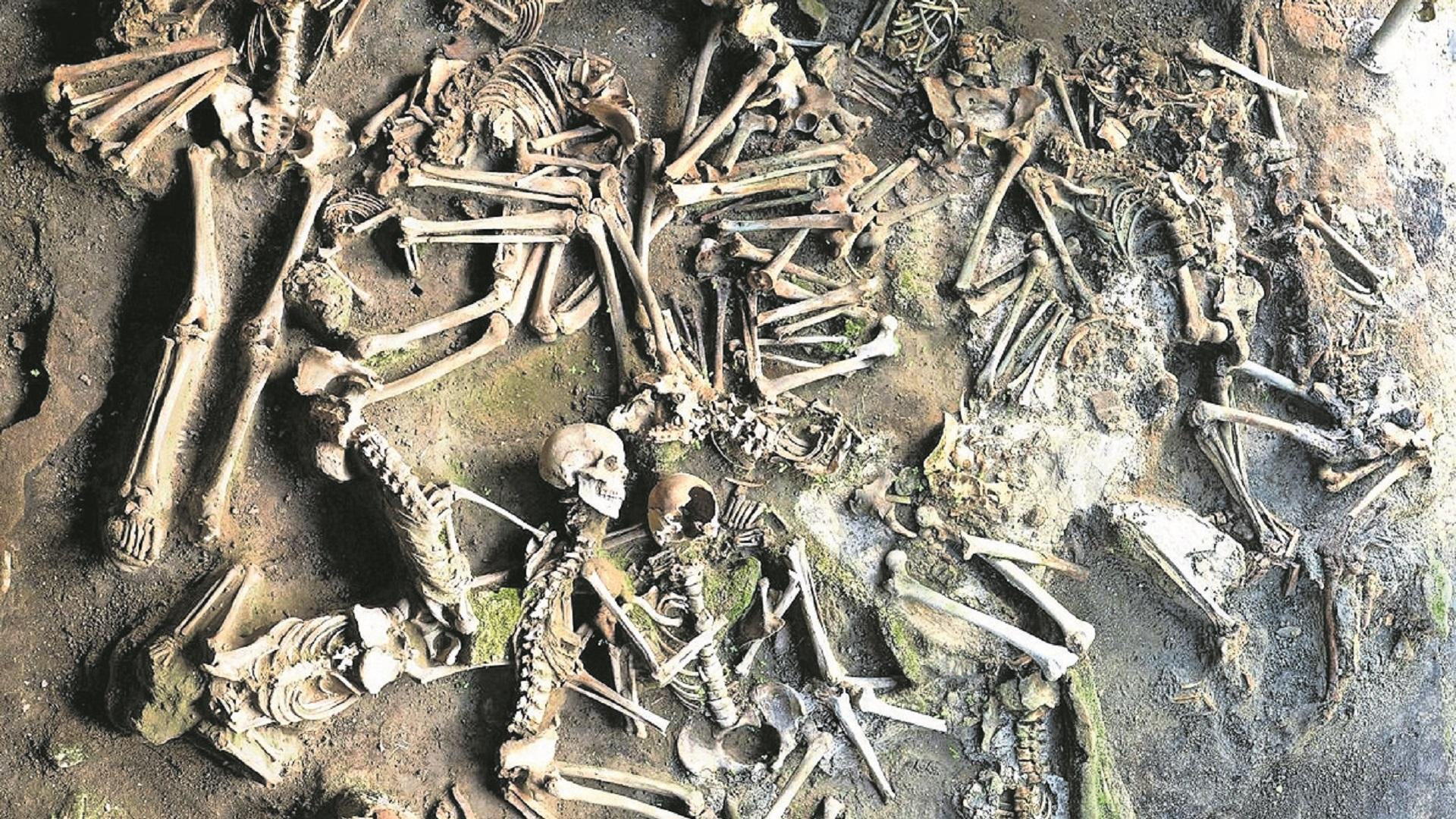 Parte de los 17 esqueletos que han permitido establecer la dieta de los habitantes de Herculano