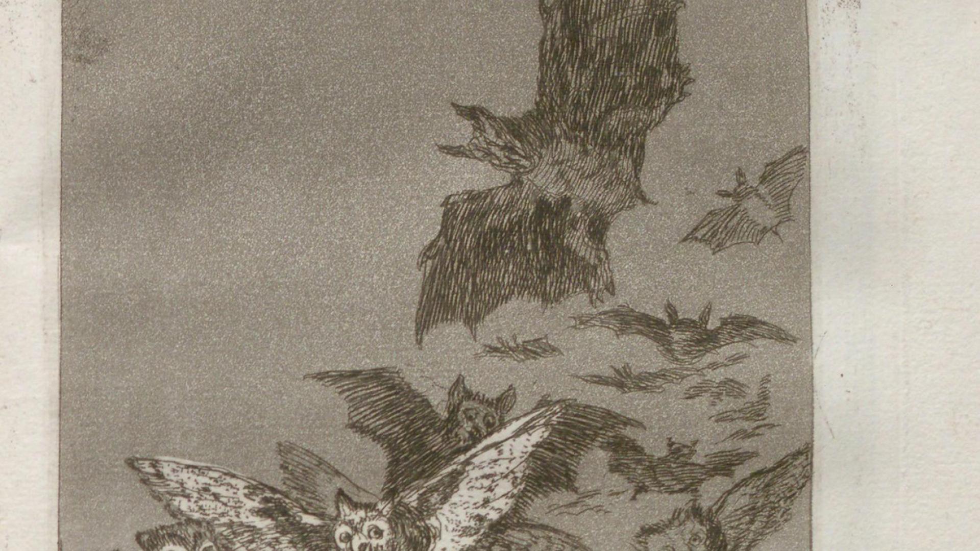 Grabado de 'Los Caprichos' de Goya

AYUNTAMIENTO DE SANTANDER

22/09/2021