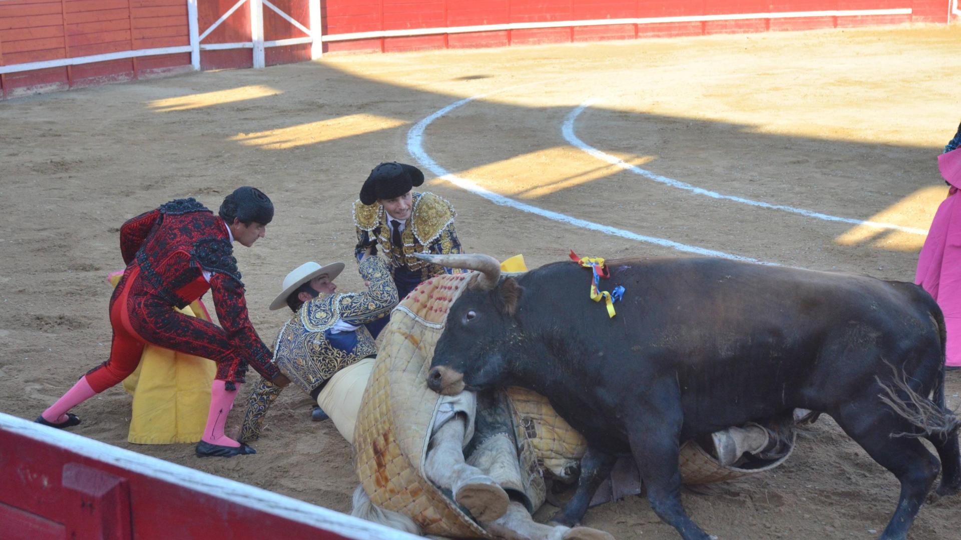 El tercer novillo, ”Finito” protagonizó un derribo atrapando al picador entre el peto y el ruedo