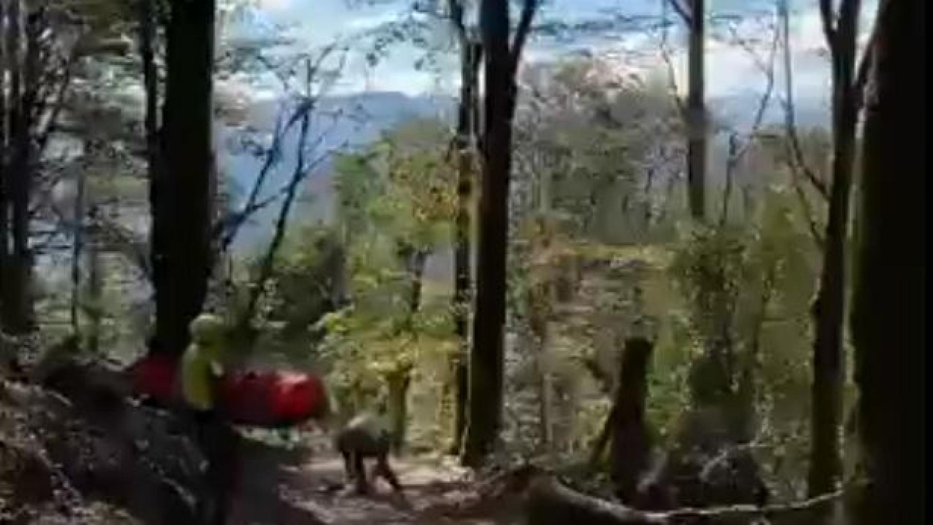 Un momento del rescate de la montañera herida en Artikutza