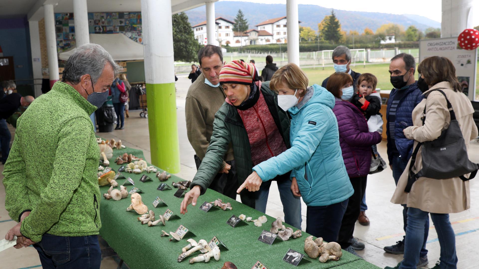 Javier Gómez, uno de los gestores del Parque Micológico de Ultzama, muestra algunos hongos de la feria