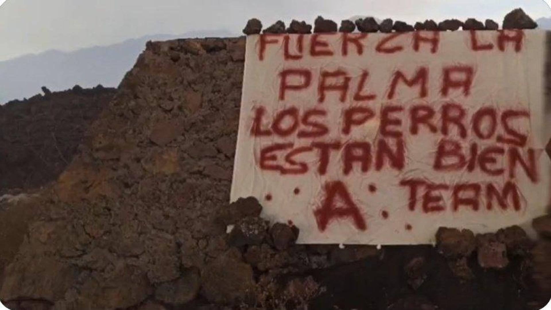 Captura del vídeo que muestra la pancarta del rescate de los perros