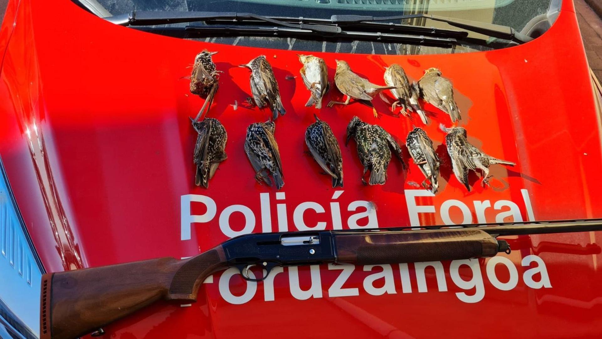 Arma y piezas abatidas incautadas por los agentes de la Policía Foral