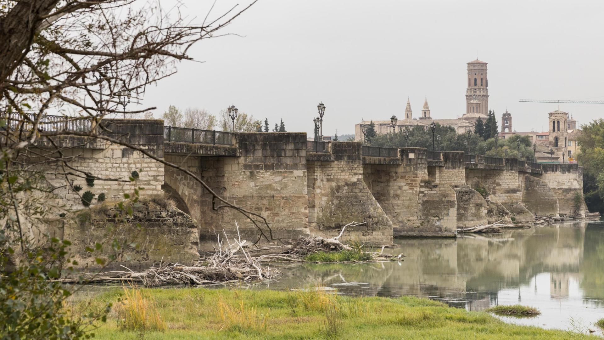 Imagen actual del puente del Ebro con numerosos restos de árboles junto a los tajamares y la Catedral, al fondo