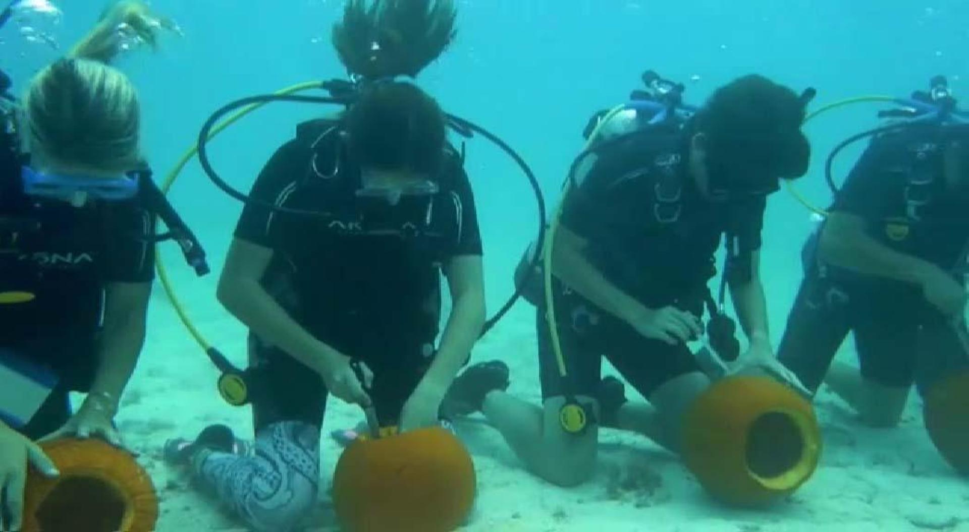 Un grupo de buzos en Florida celebra Halloween bajo el agua