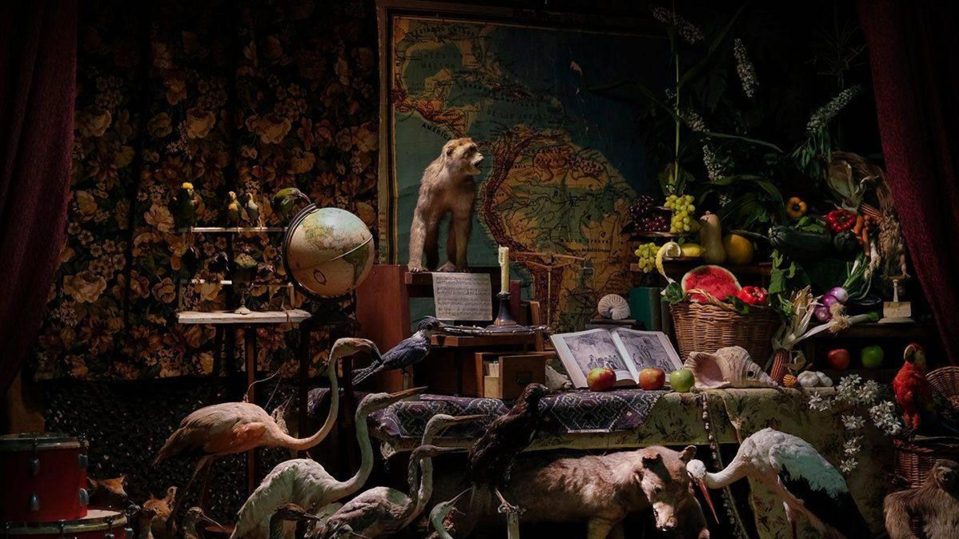 Fotograma de Love Needs Time to Kill, la película de Txupo Poyo sobre los gabinetes de Ciencias Naturale