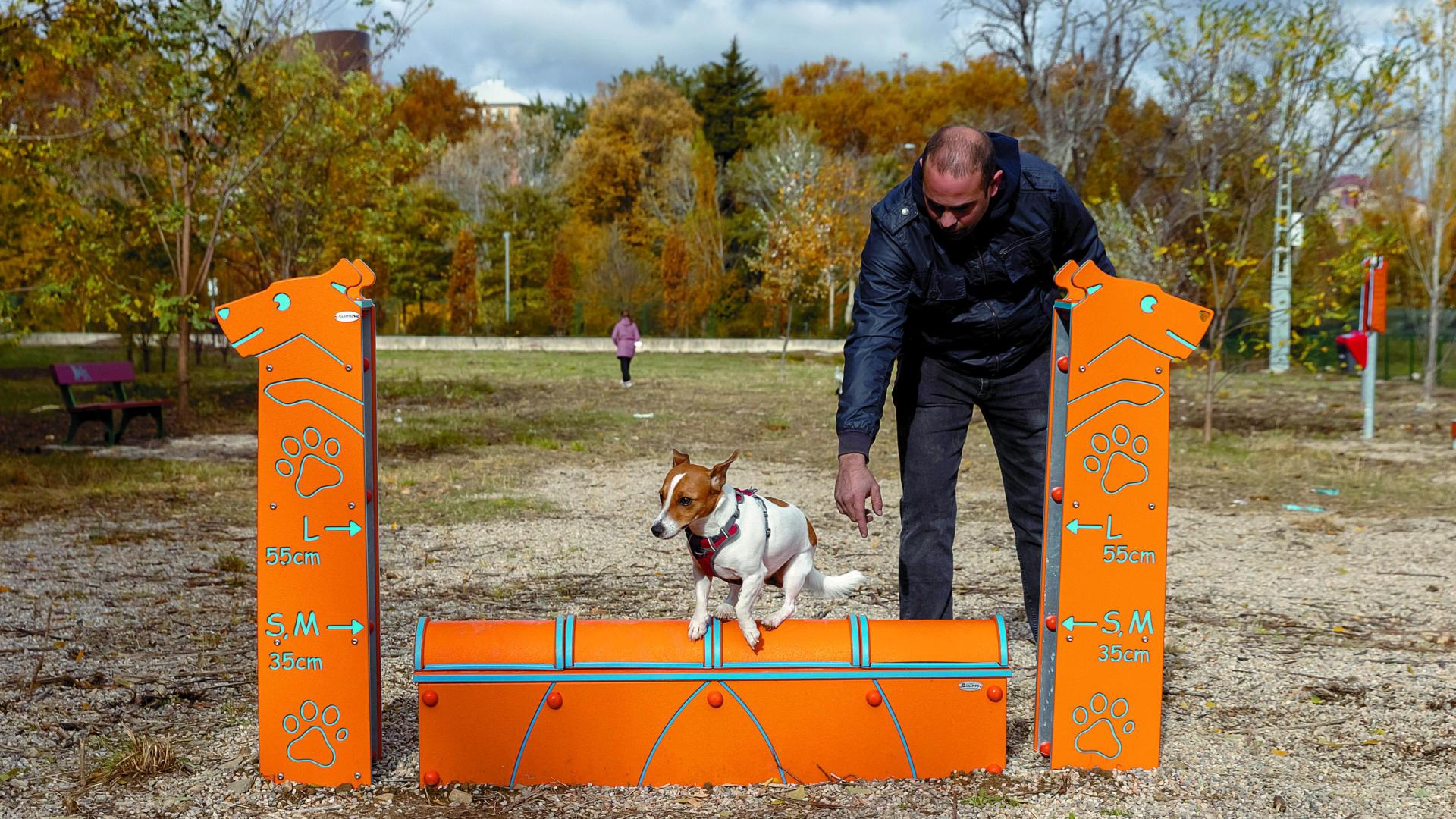 Un perro sortea uno de los obstáculos de salto que forman el circuito ‘Agility’ en el Parque de Trinitarios