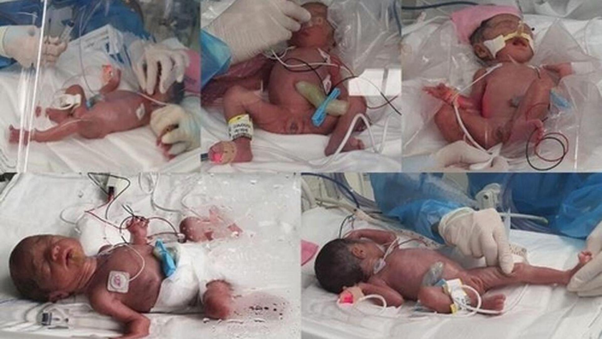 Las fotos compiladas, proporcionadas por el Hospital de la Universidad Nacional de Seúl