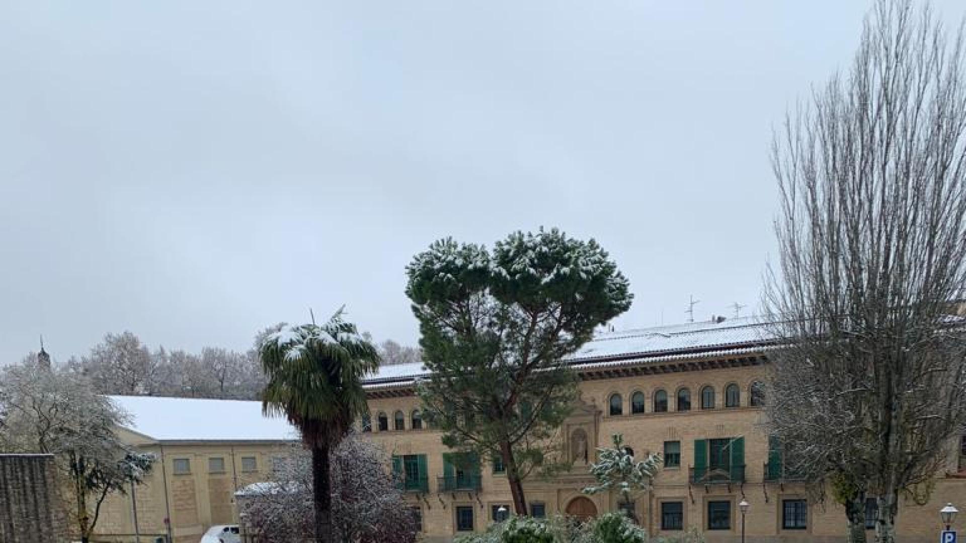 Árbol caído en Pamplona