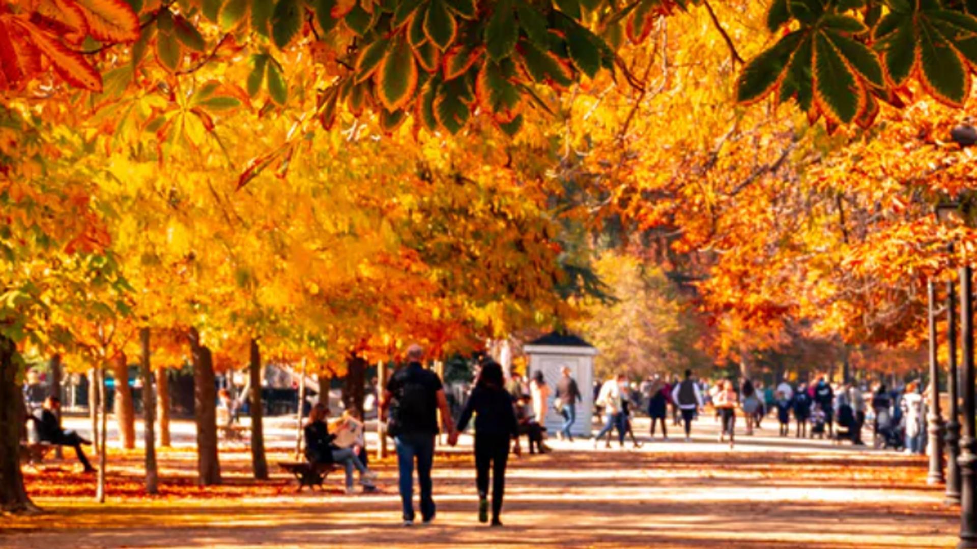 Varias personas pasean por un parque