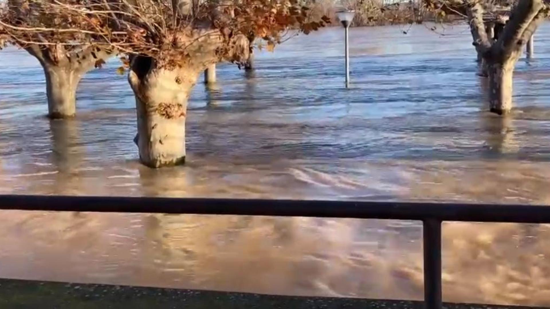 El río Ebro anega el Paseo del Prado en Tudela