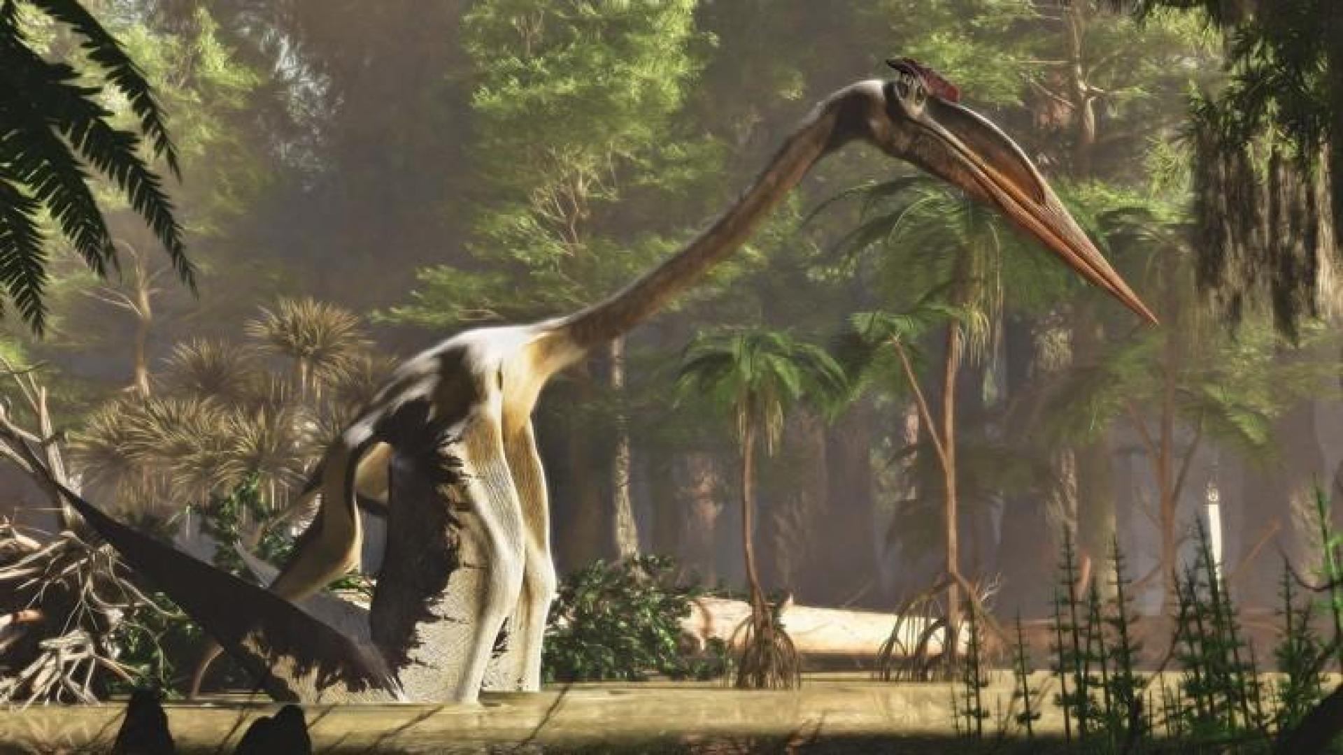 Interpretación del Quetzalcoatlus