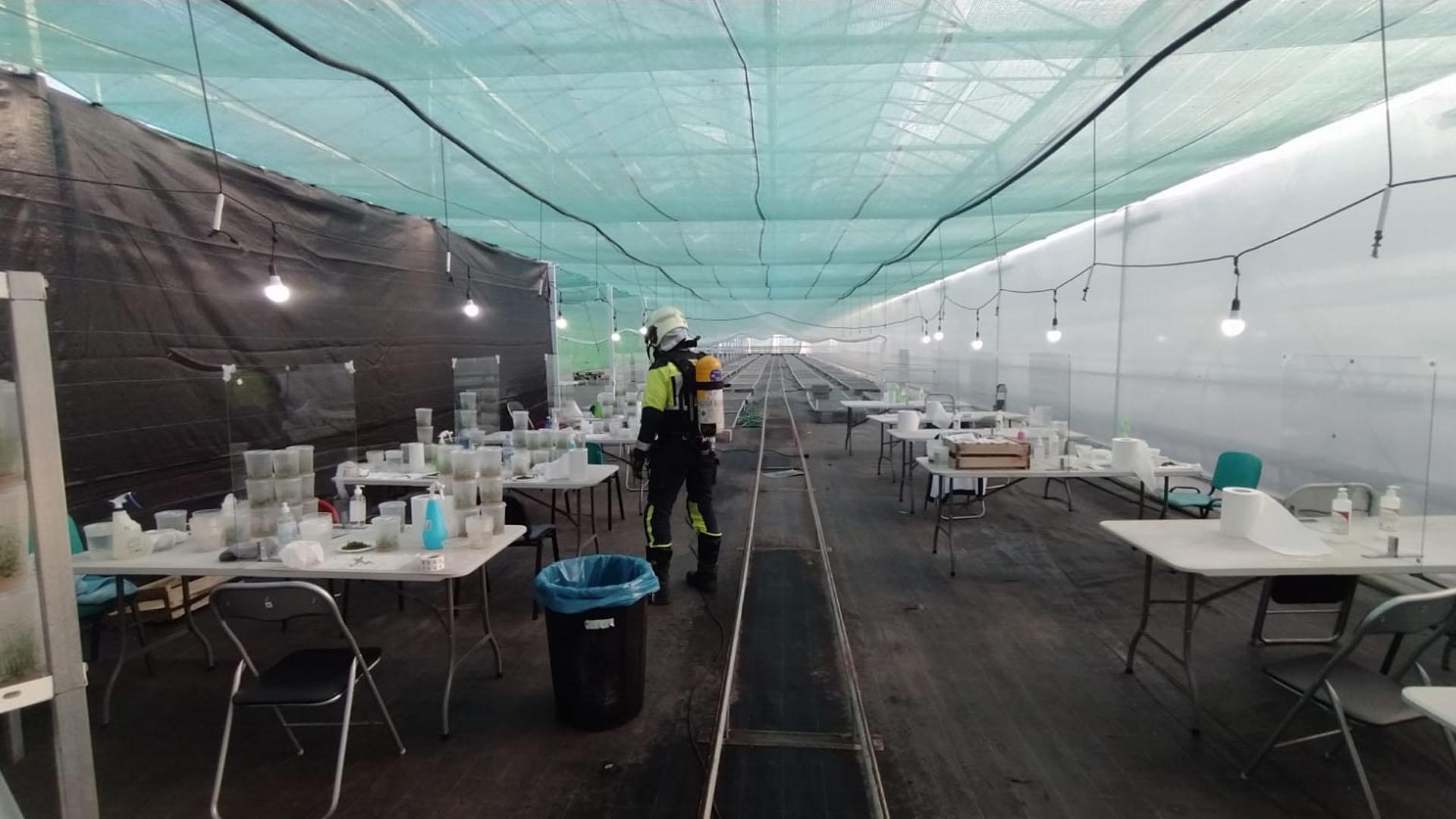 Invernadero en Milagro donde se ha producido el suceso