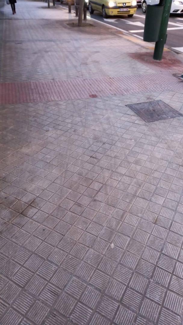 Fotografía que muestra la helada sobre la acera en el Seminario