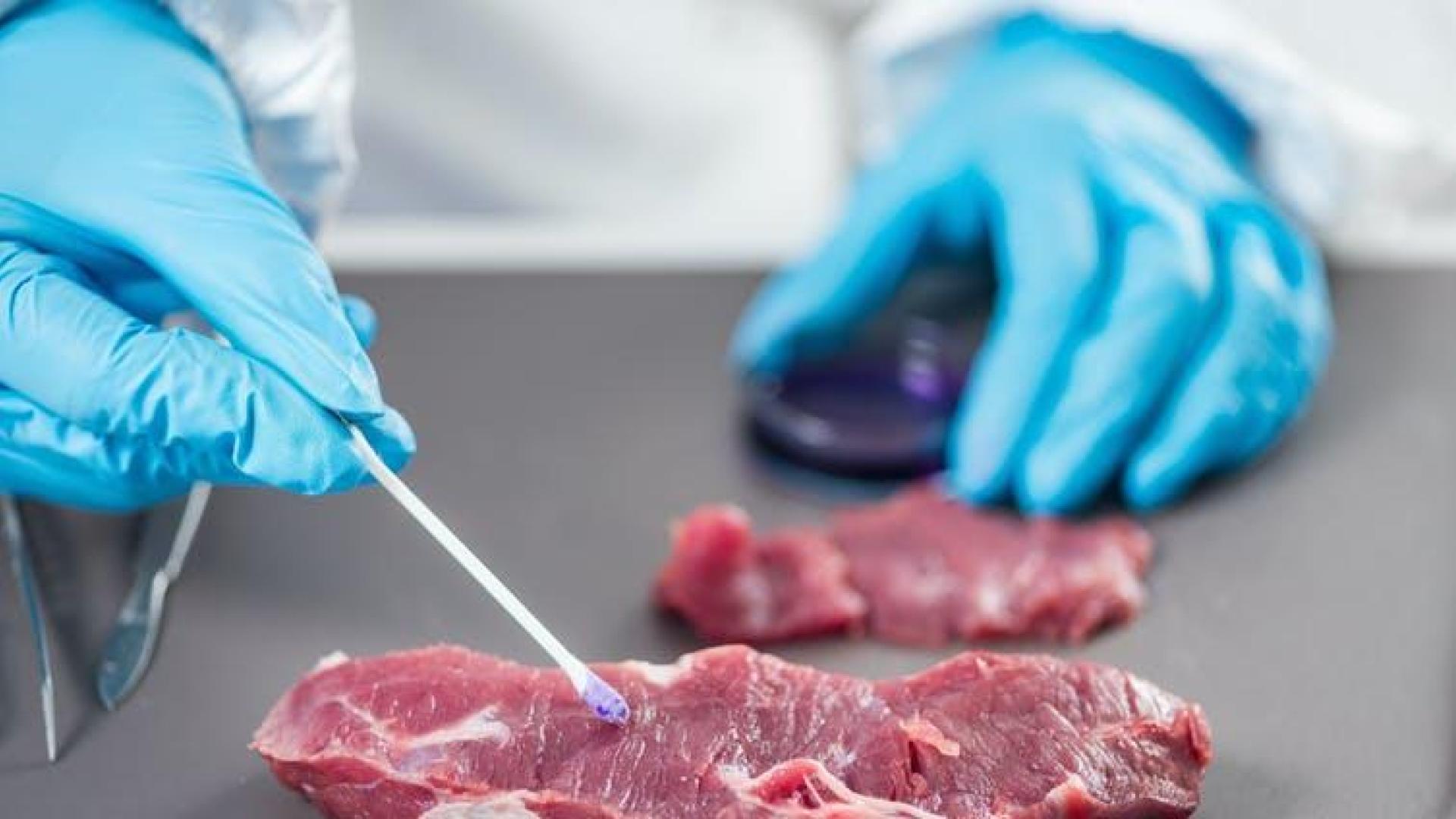 Imagen de carne
