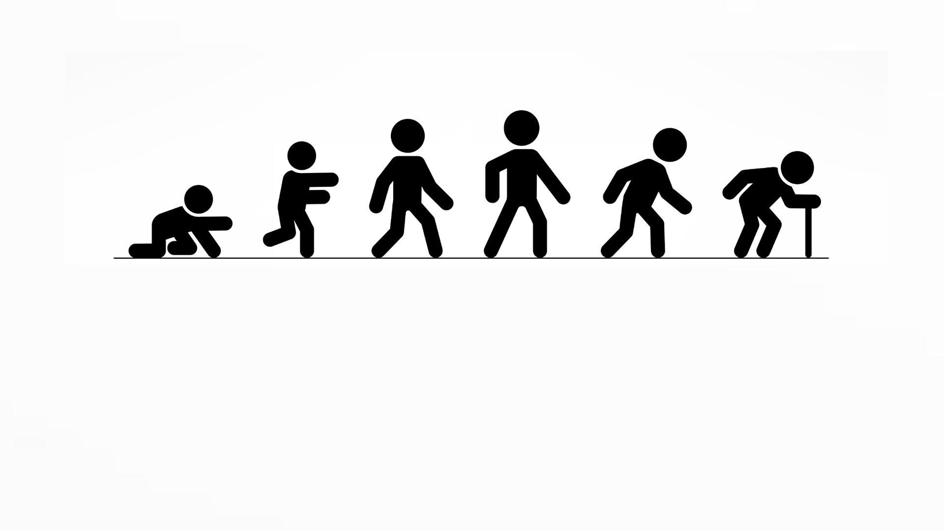 Ciclo de la vida