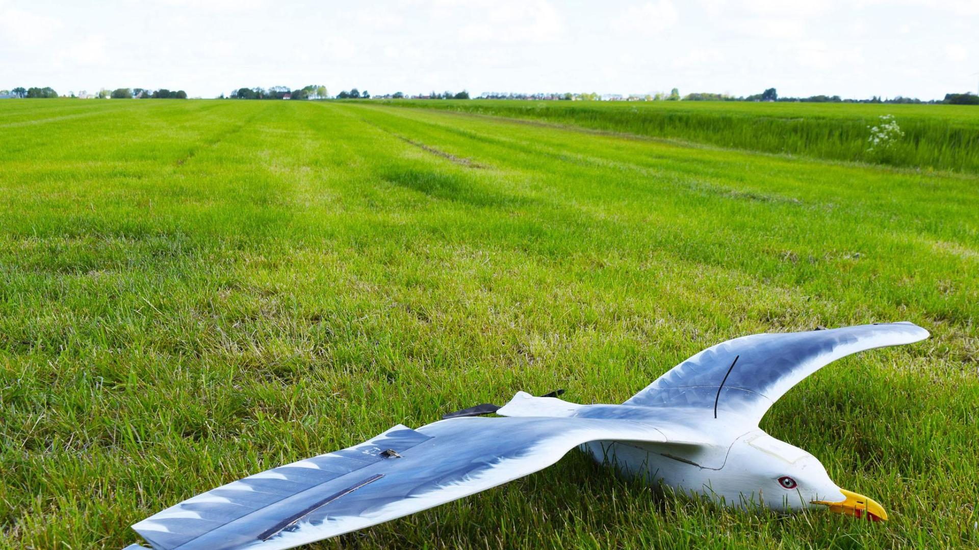 Un dron con forma de ave para uso lúdico