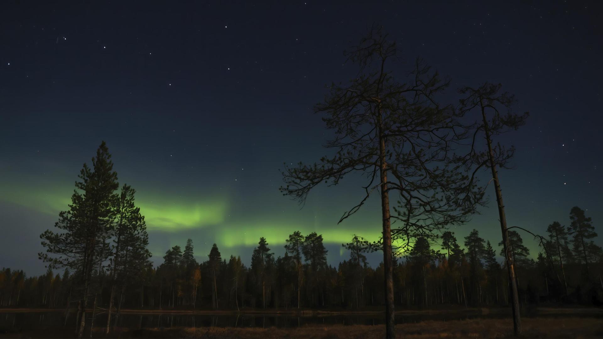 El tono verdoso de la aurora boreal sorprendió a los tres fotógrafos navarros en su cobijo