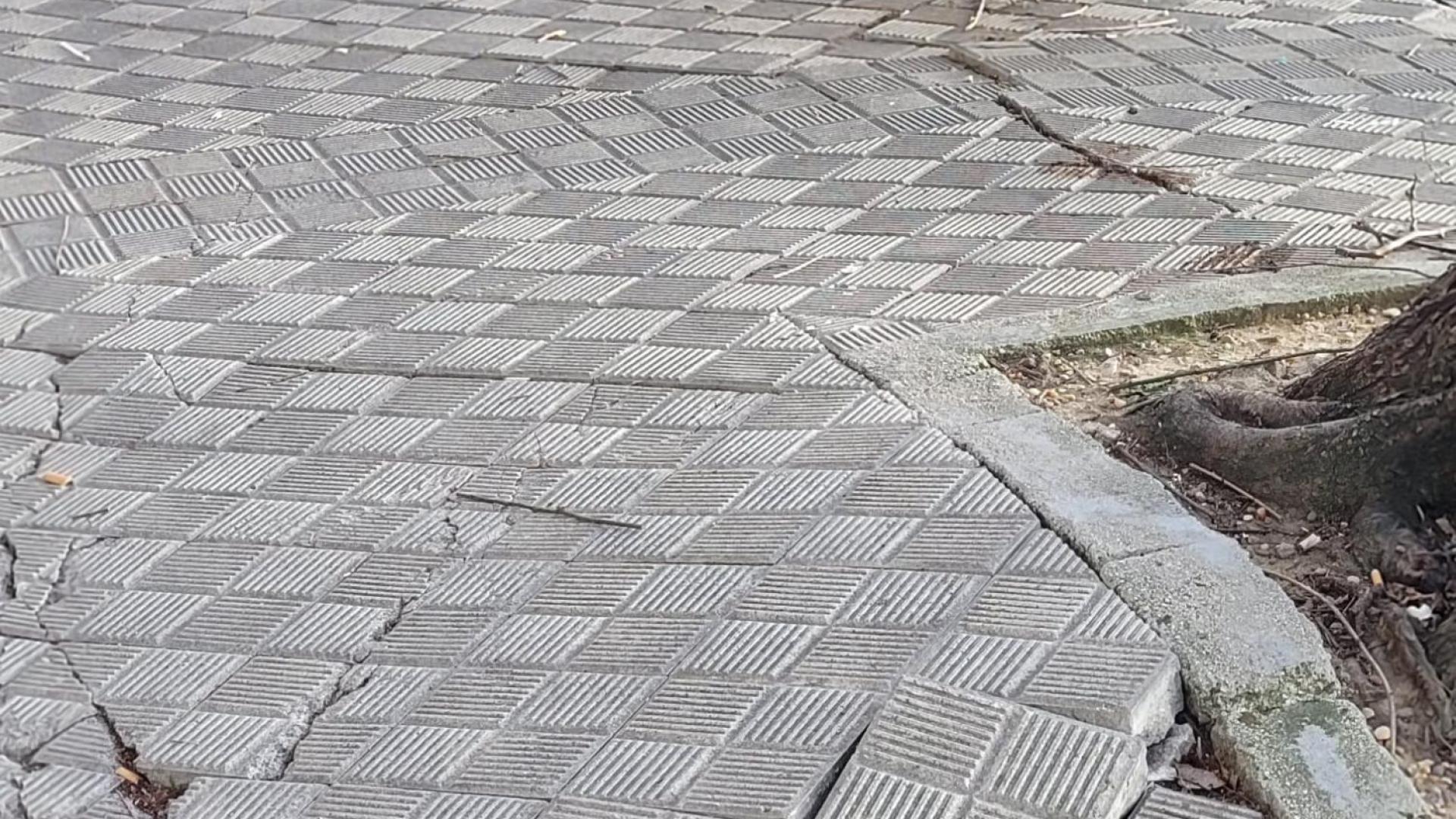 Acera levantada en la avenida Zaragoza, 95. Peligro de caídas.